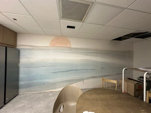 Murphy Wallpaper Installer residential wallpaper installation services in Dallas-Fort Worth